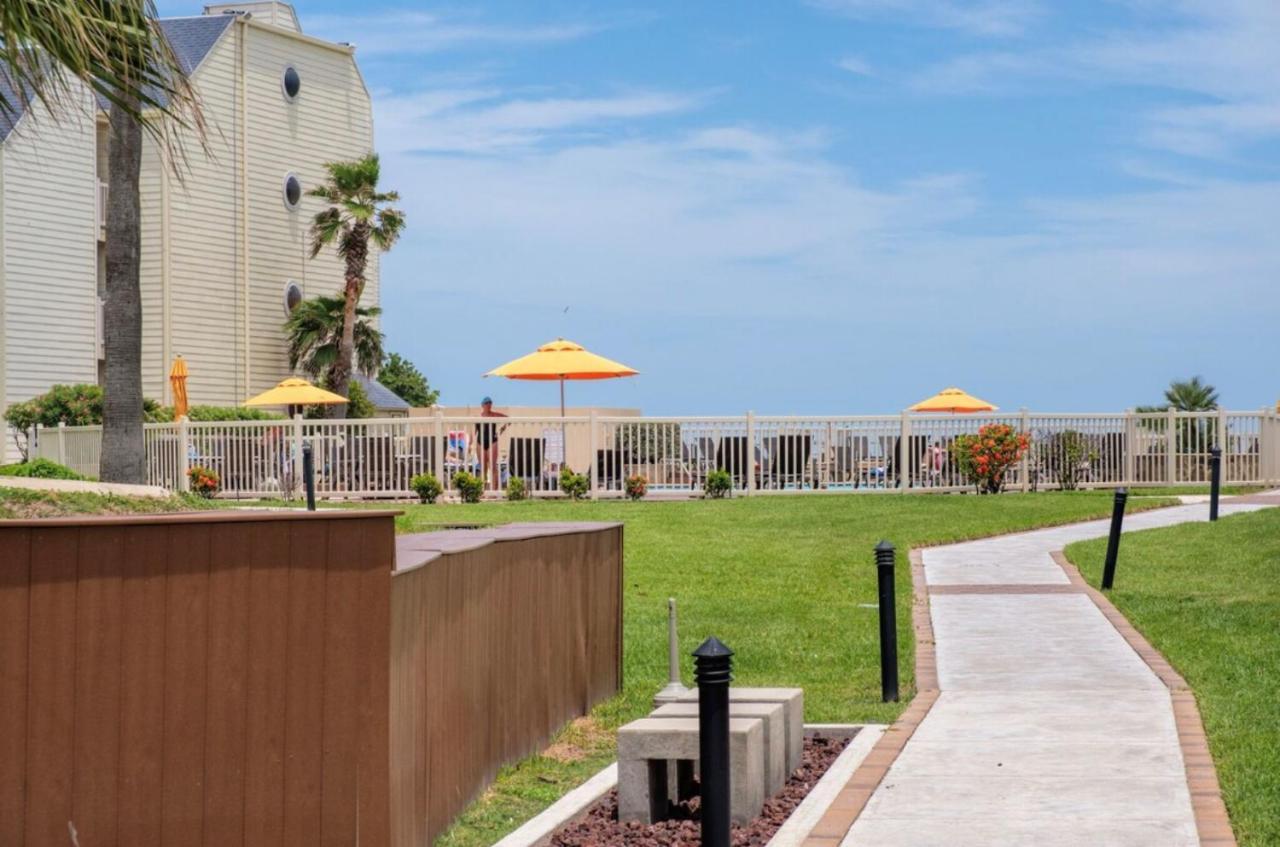 New Stunning Ocean-View Beachfront Resort, Heated Pool! South Padre Island Eksteriør bilde